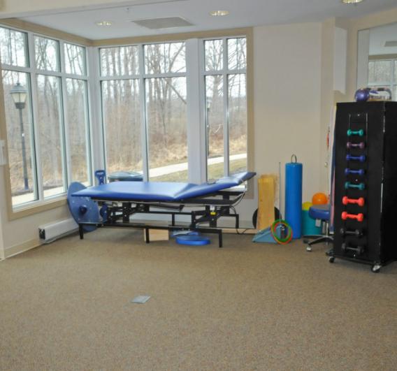 Physical Therapy Area